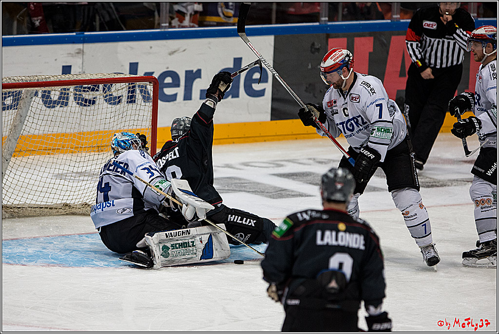 Koelner Haie - Schwenninger Wild Wings, 11.12.2016